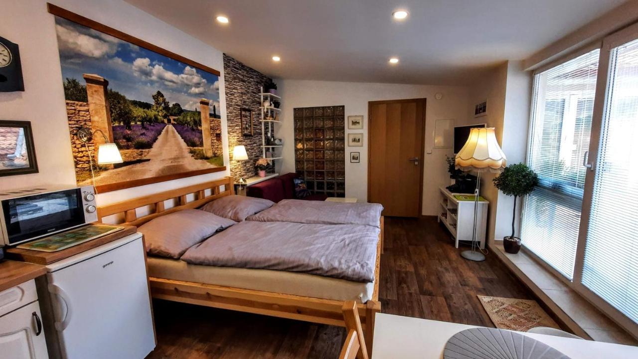 Apartmán Za kopcem Boskovice Kültér fotó