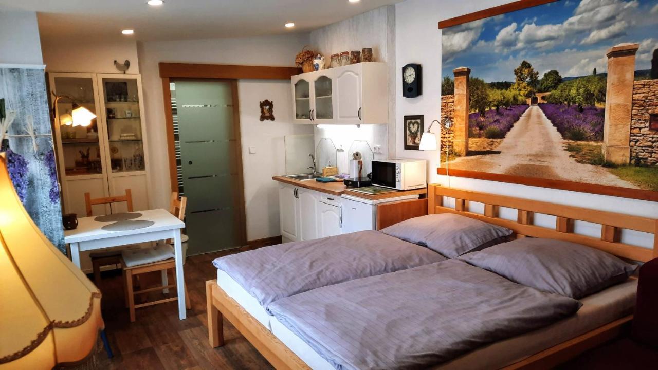 Apartmán Za kopcem Boskovice Kültér fotó