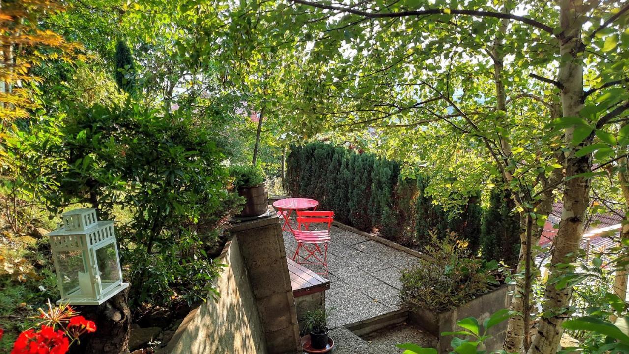 Apartmán Za kopcem Boskovice Kültér fotó