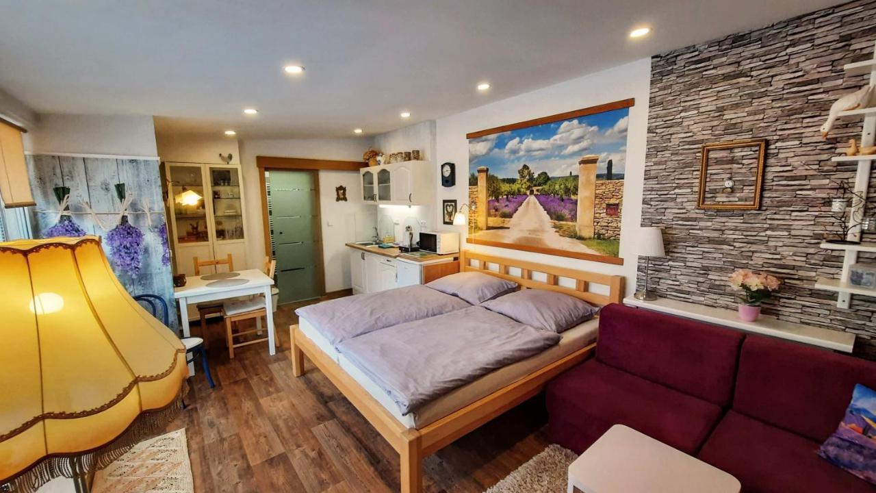 Apartmán Za kopcem Boskovice Kültér fotó