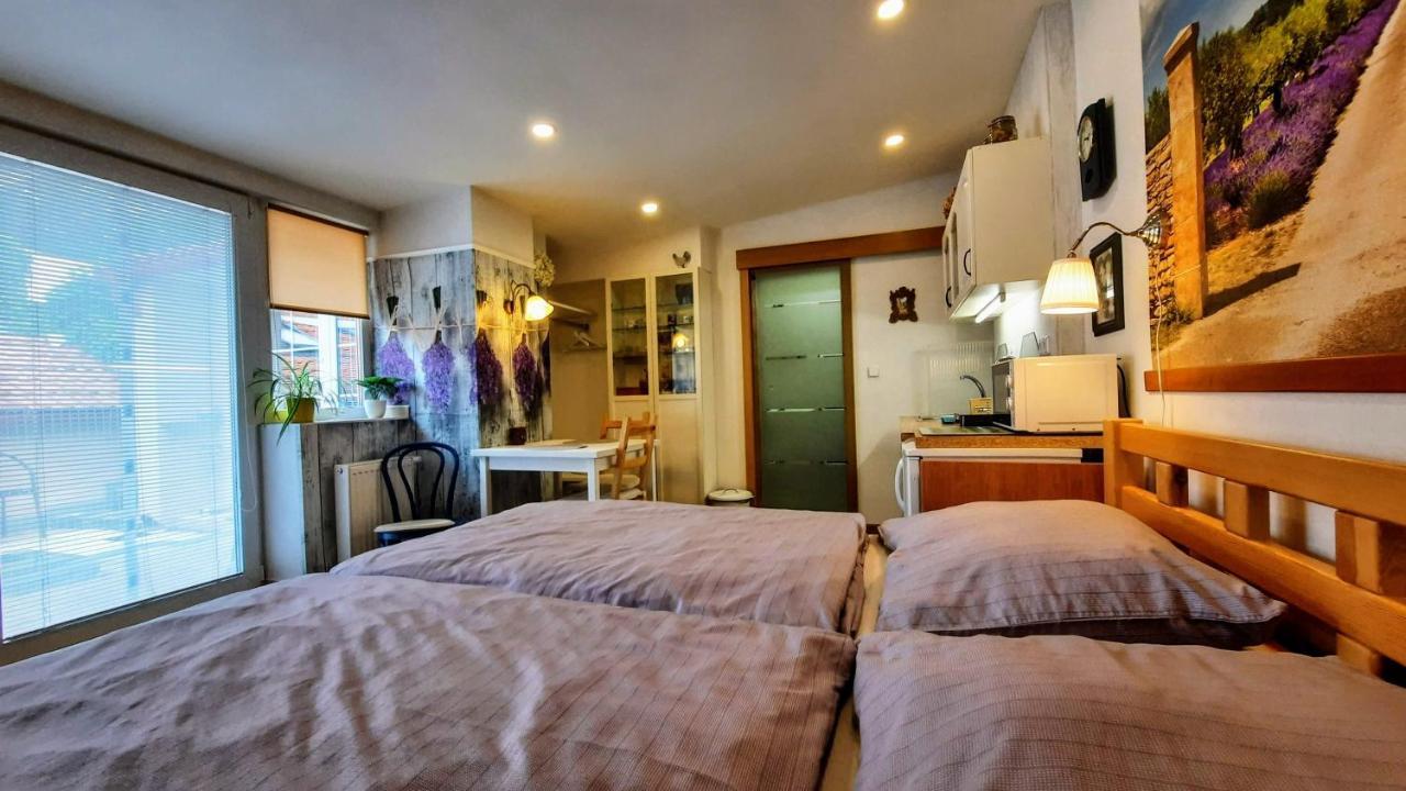 Apartmán Za kopcem Boskovice Kültér fotó