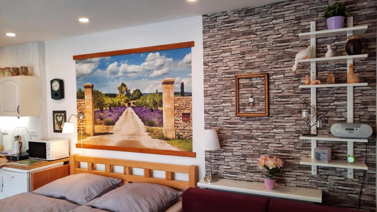 Apartmán Za kopcem Boskovice Kültér fotó