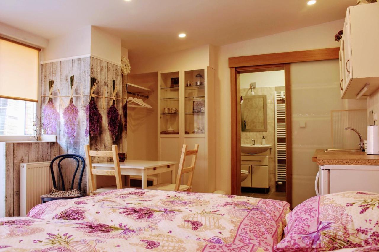 Apartmán Za kopcem Boskovice Kültér fotó